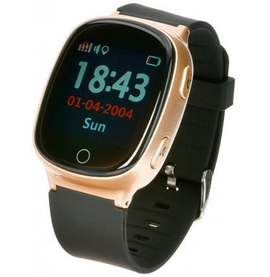 Garett Gps 3 złoty