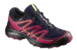 Salomon Wings Flyte 2 G-TX W damskie buty terenowe
