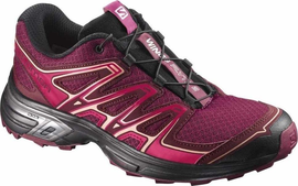 Salomon Wings Flyte 2 G-TX W damskie buty terenowe