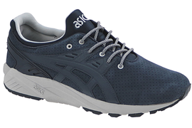 Asics Gel-Kayano Trainer Evo  H620L-5050
