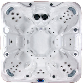 ALLSEAS SPAS WANNA SPA MODEL DS300