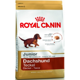 Royal Canin Dachshund Junior karma sucha dla szczeniąt do 10